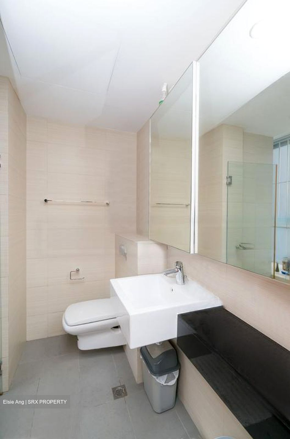 Oasis @ Elias (D18), Condominium #485700821
